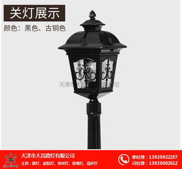北京草坪燈與園林草坪燈 天津市大昌路燈公司的優(yōu)質選擇